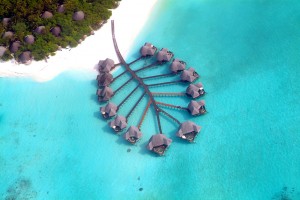 Maldives_Coco Palm 